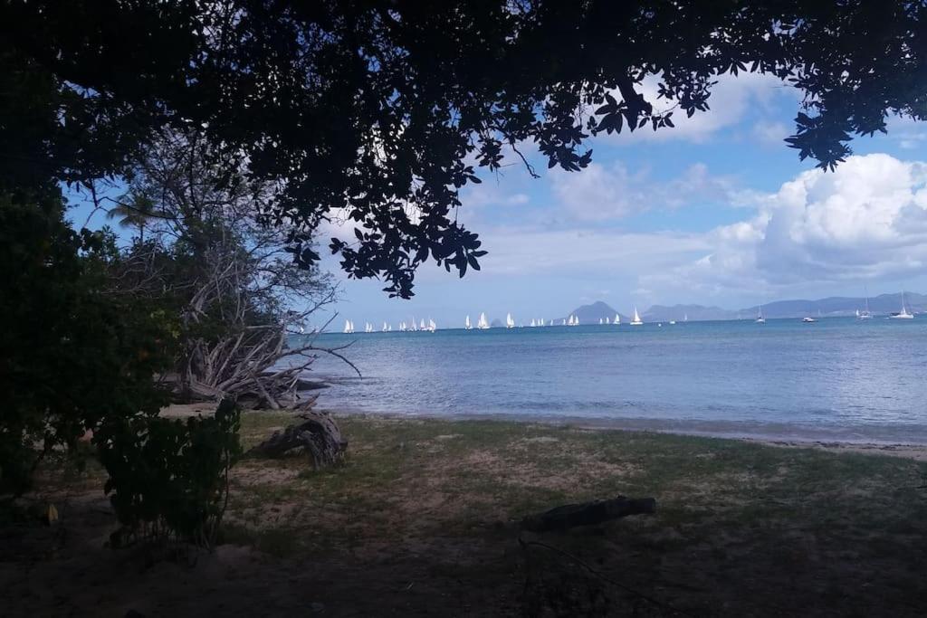 Studio Le Balisier Caritan 外观 照片